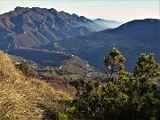 41 Dal ripido sentierino di salita al Corno Zuccone vista sulla Val Taleggio 